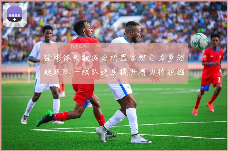 徐彬体测数据分析显示综合力量超越狼队一线队速度提升潜力待挖掘