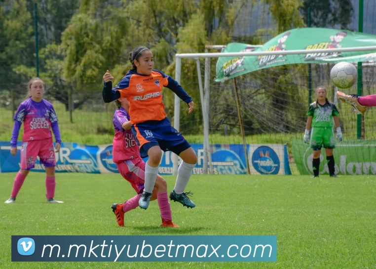 MK体育发展历程